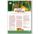 Cari Papaya&#39;s - Image 3