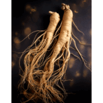 Ginseng wortel