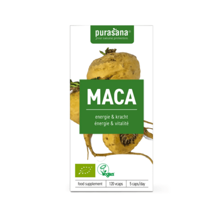 macacaps. purasana