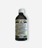 Sirop de sureau